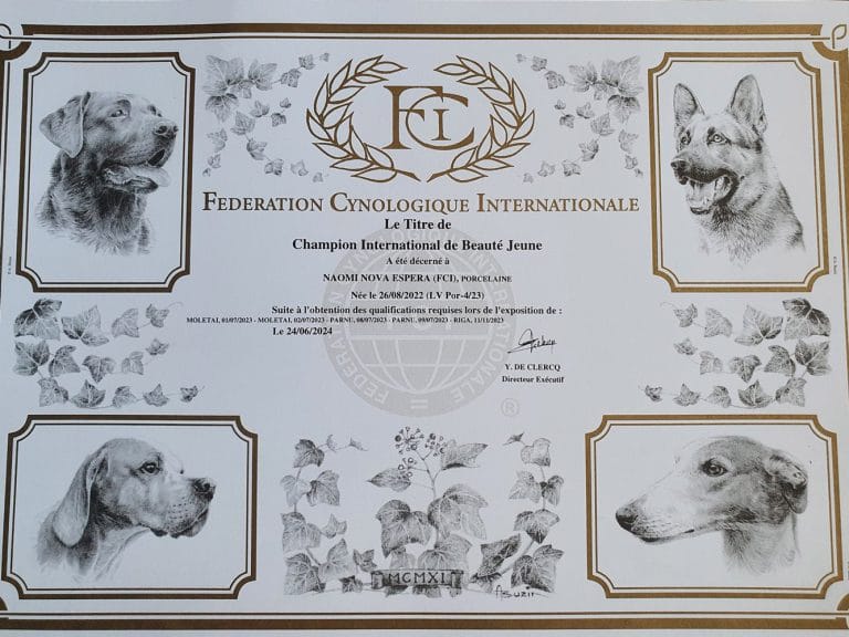 Read more about the article Naomi Nova Espera – FCI Starptautiskā junioru skaistuma čempione!