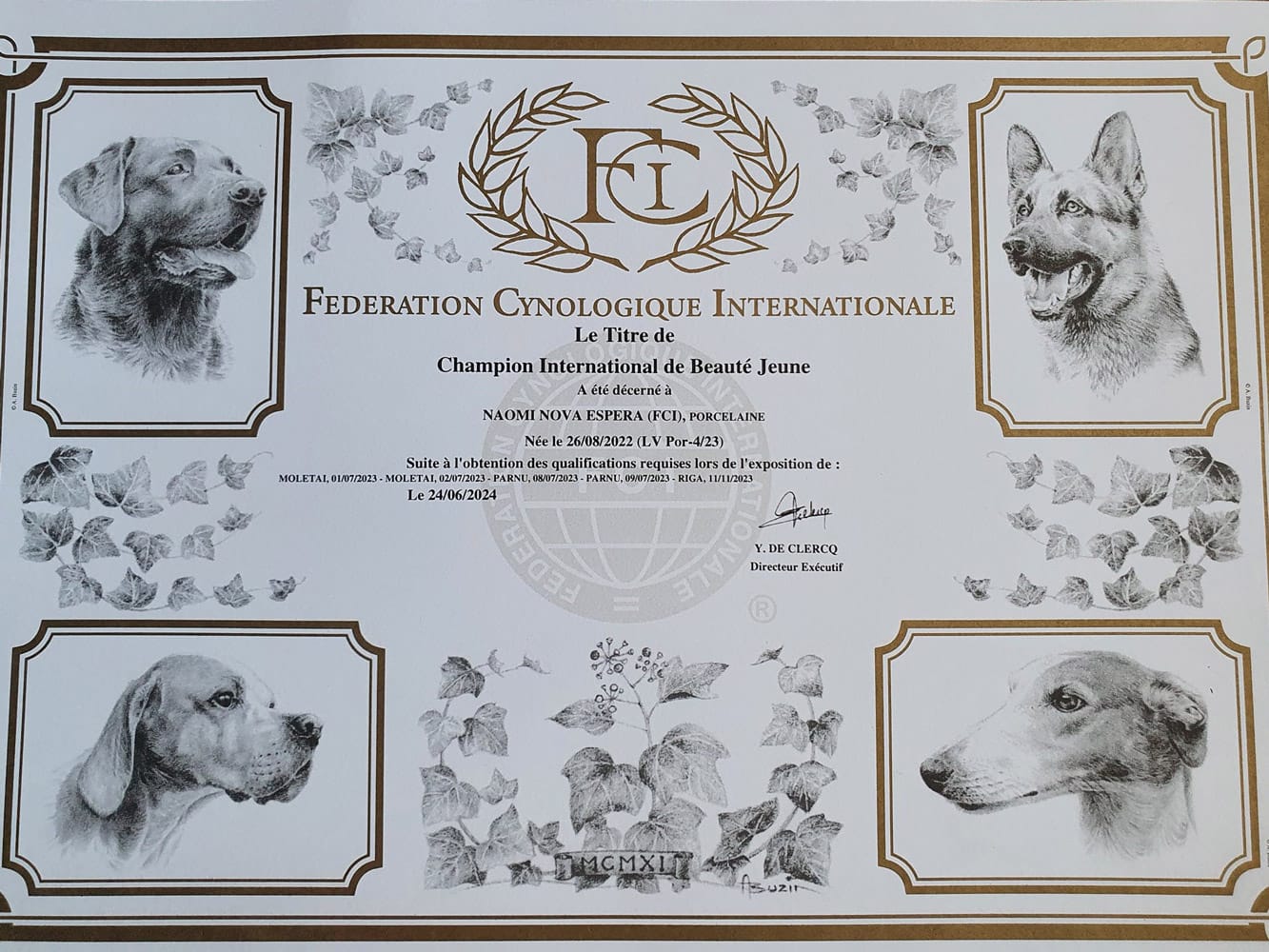Read more about the article Naomi Nova Espera – FCI Starptautiskā junioru skaistuma čempione!